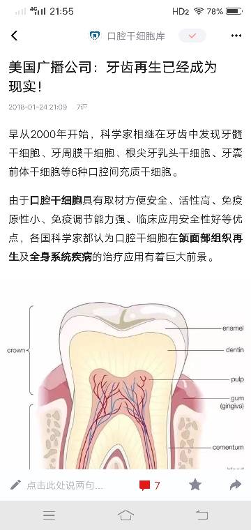 再生牙研究获最新进展，未来牙齿再生梦想成真（最新消息）