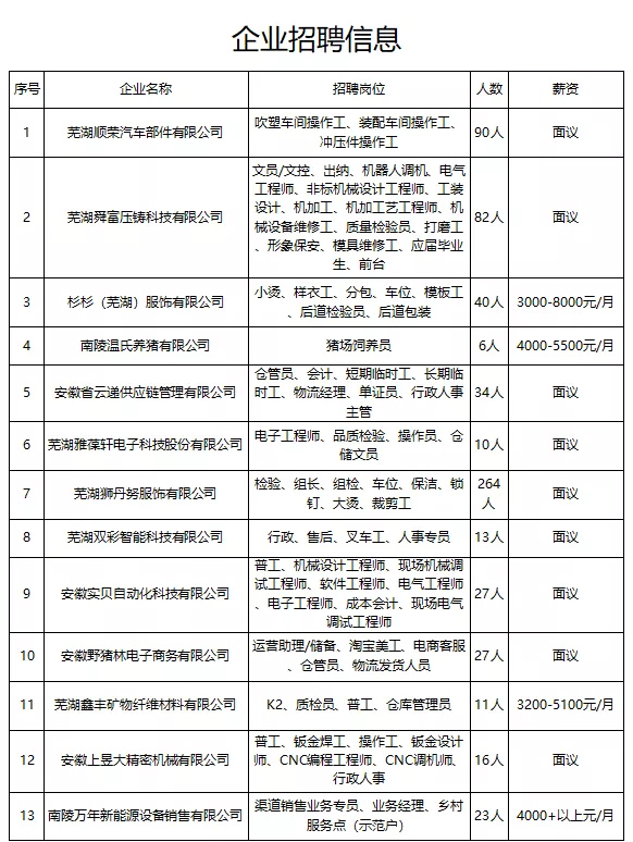 南陵招聘网最新招聘动态深度解读与分析