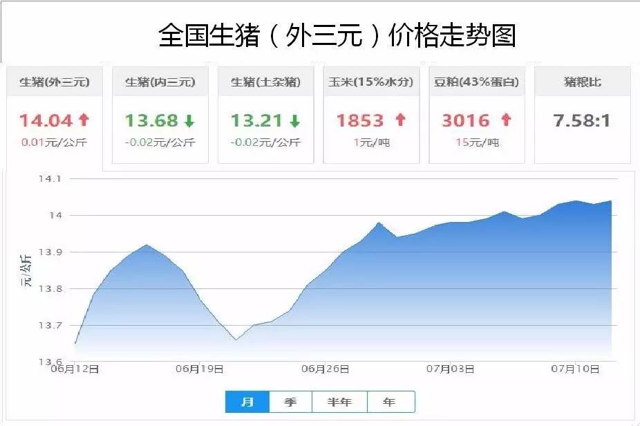 生猪最新行情深度解析