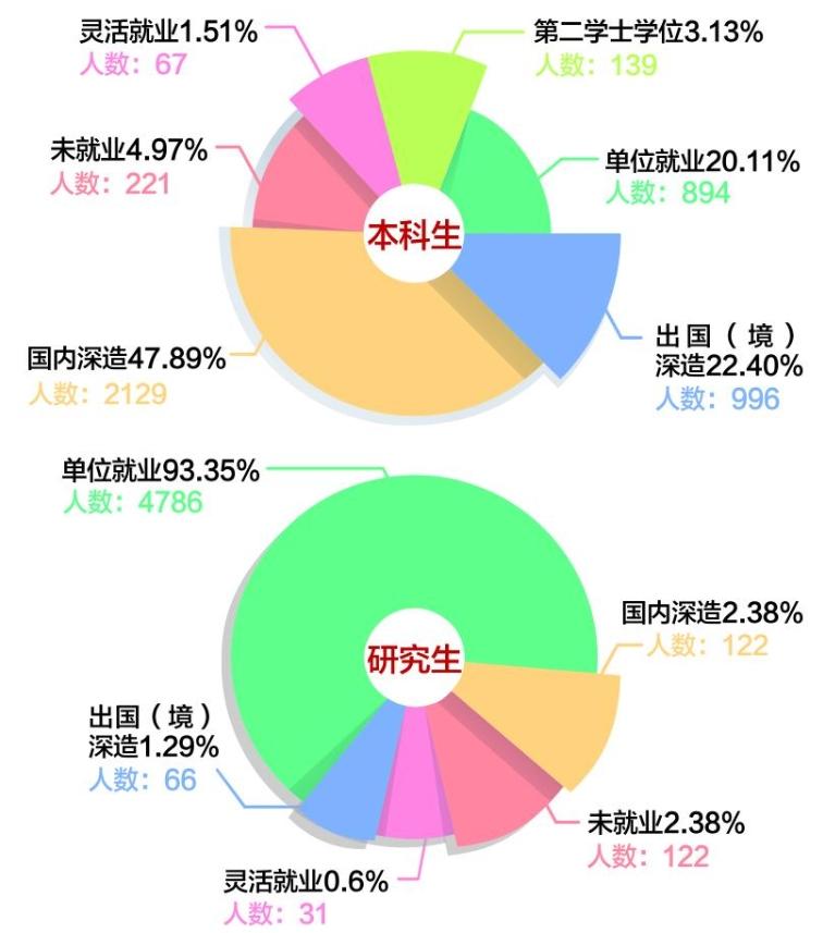 电子科技大学就业情况深度解析