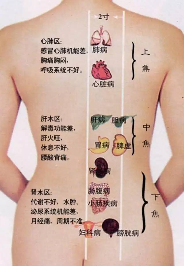 洞悉患者需求，背诊聊天技巧与话术，提升医患沟通效率