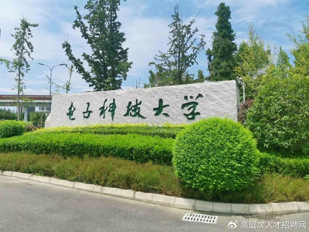 电子科技大学招募辅导员，探索卓越候选人之旅