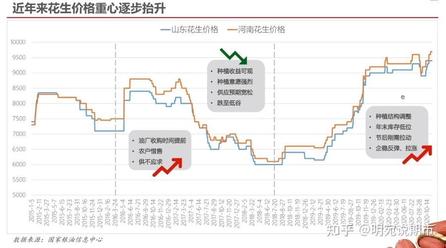 最新花生价格动态