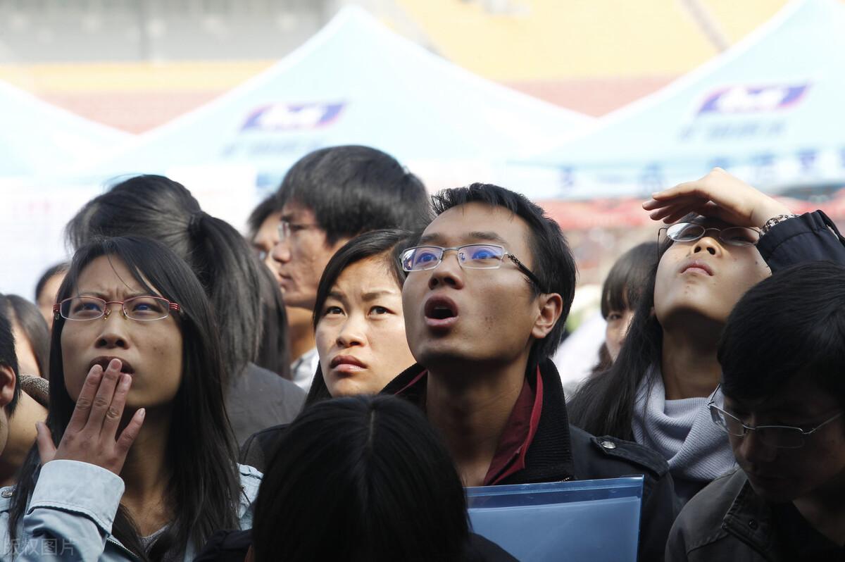 电子科技大学就业网，学生职业发展桥梁的连接器