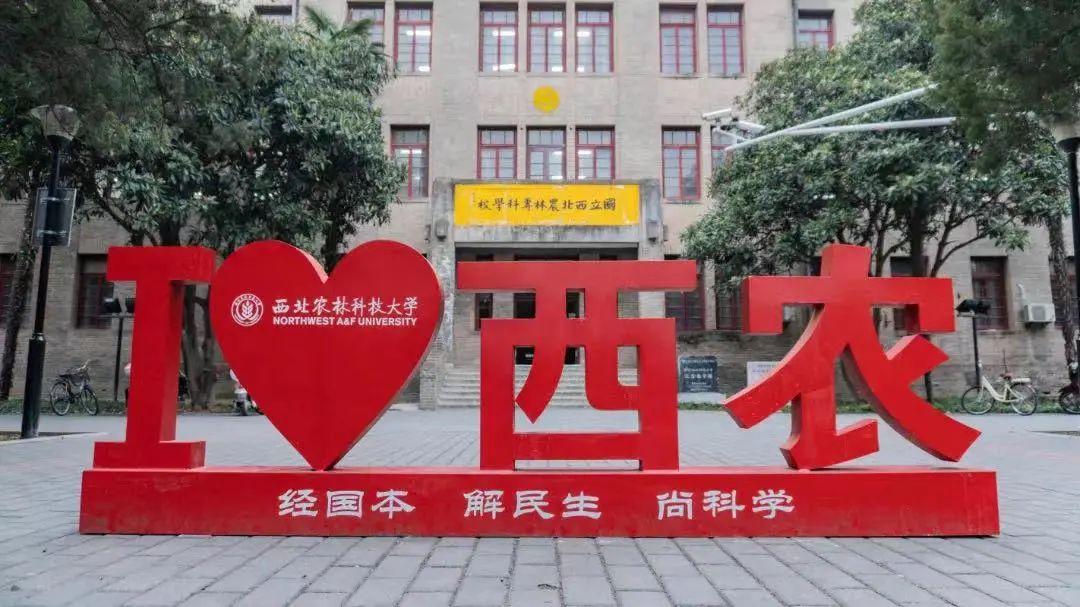 电子科技大学研招网官网，科技与学术的交汇探索平台