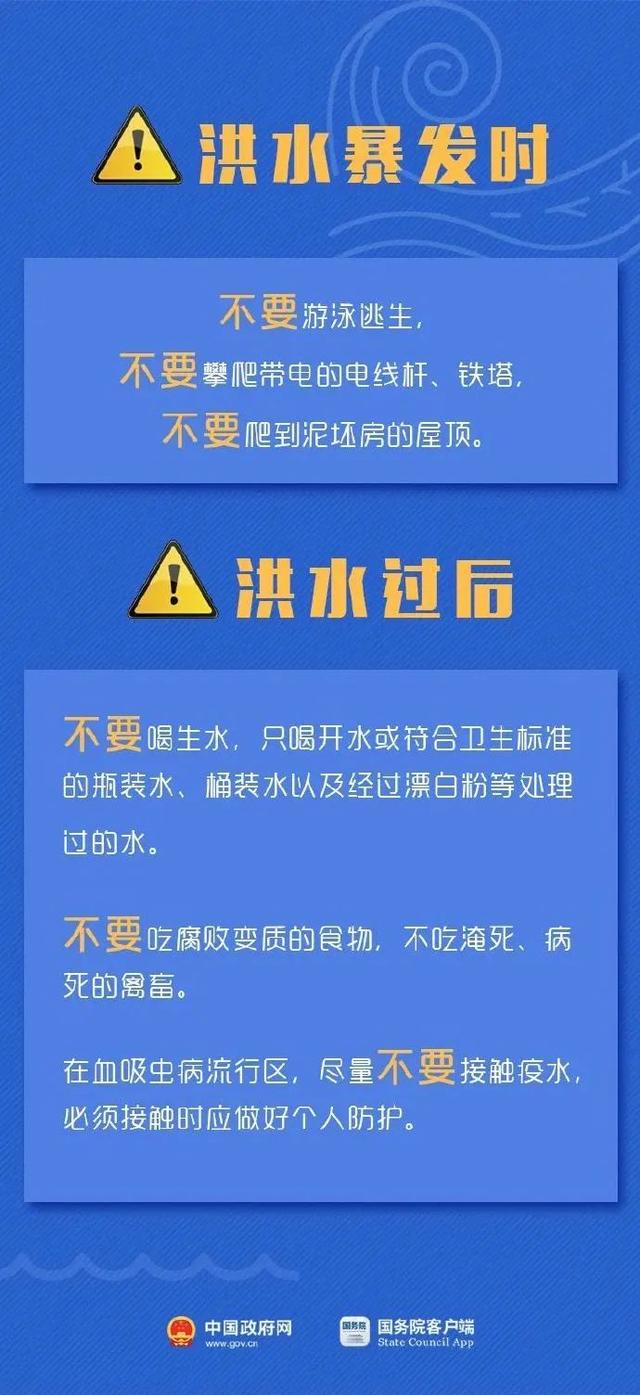 2024新澳今晚资料鸡号几号,灵活设计解析方案_操作版7.193