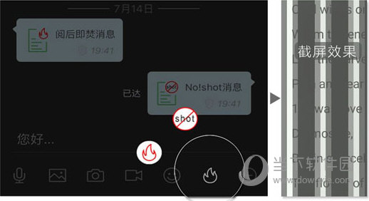 2O24管家婆一码一肖资料,深入解答解释定义_管控版1.09