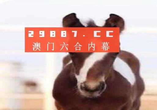 澳门今晚一肖一码100,正确解答落实_豪华版180.300