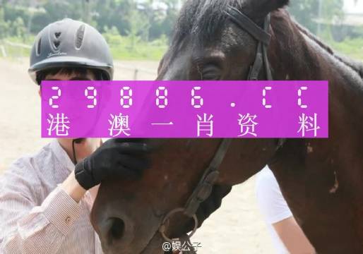 澳门一肖一码一必中,动态词语解释落实_优选版2.332