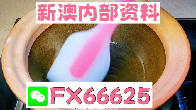 新澳精准资料免费提供510期,动态词语解释落实_动态版61.833