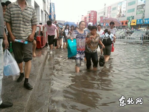 大庆大雨最新动态及其影响