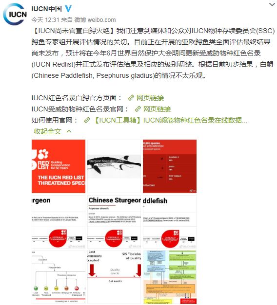 2024澳门特马今晚开奖240期,科学解析评估_Mixed81.478