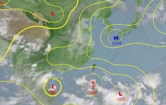 最新台风动态与影响分析简报