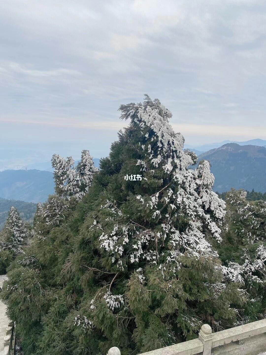 南岳衡山最新动态及探索报道