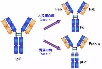 新奥彩资料免费提供澳门,前瞻性战略定义探讨_MP69.168