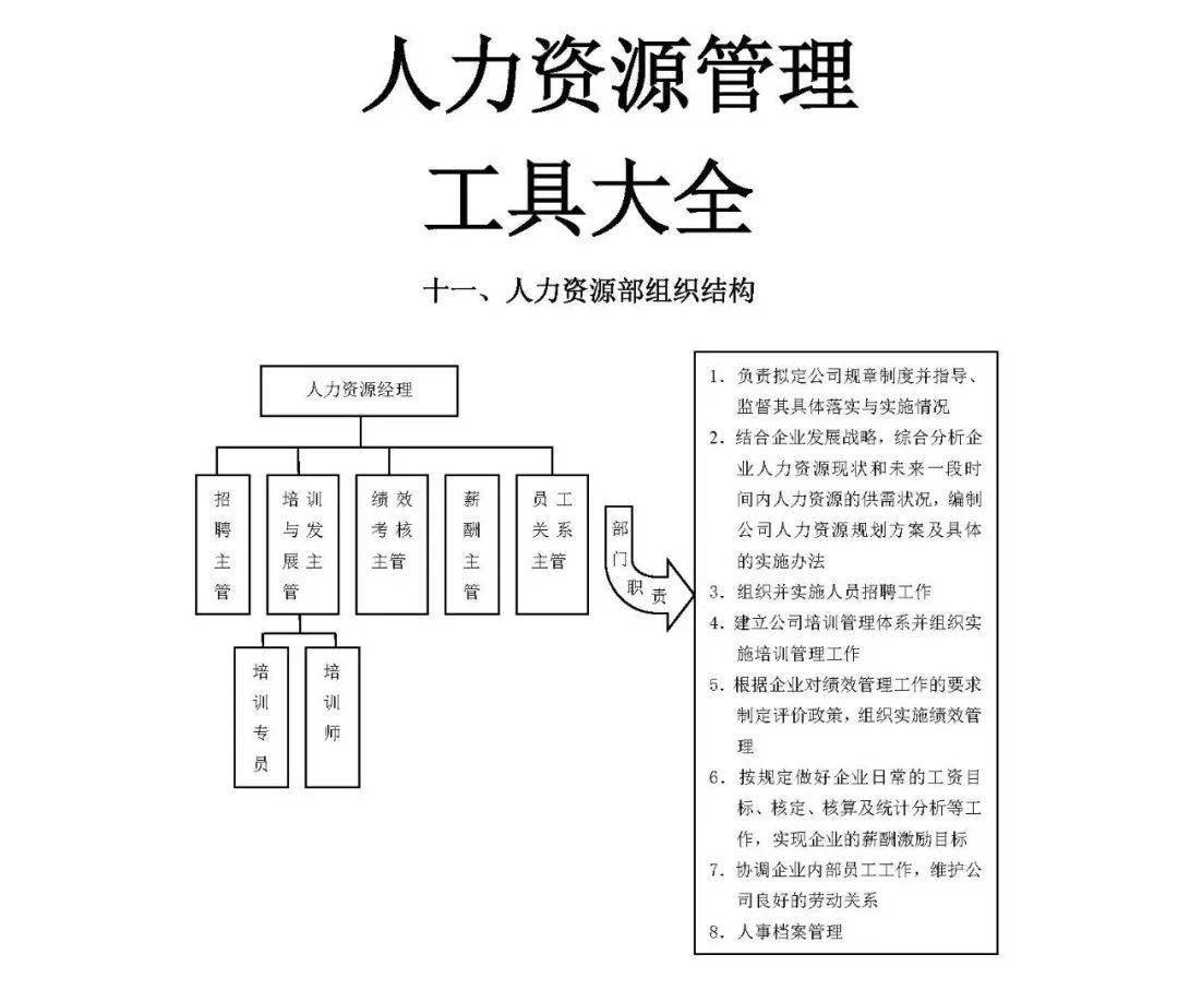 新奥最精准资料大全,高效策略设计_开发版13.597