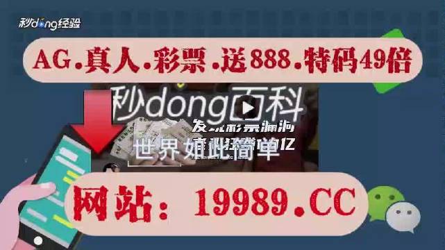 2024澳门天天开好彩大全正版,现状解答解释定义_Phablet48.324