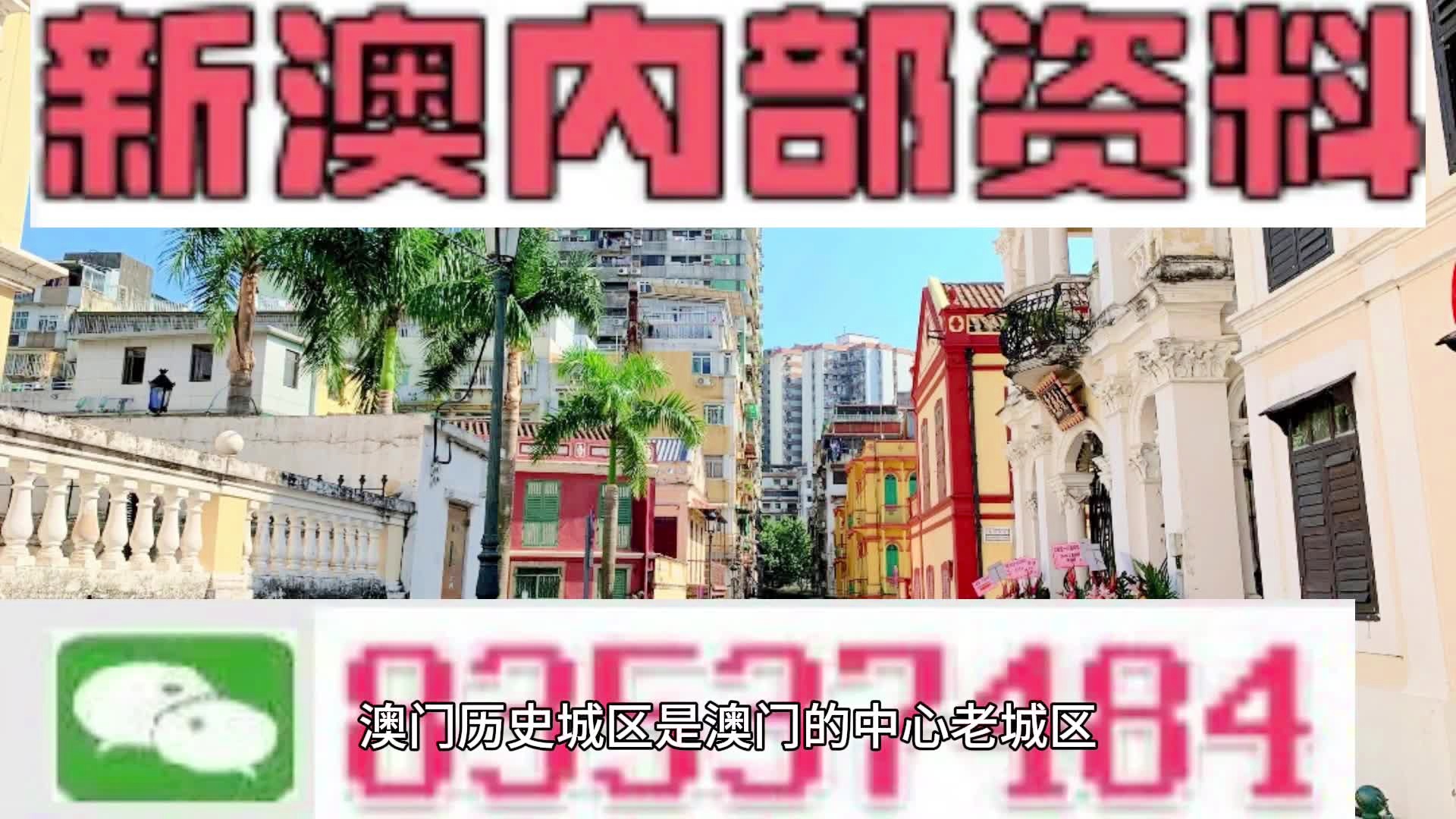 新澳门内部会员资料,专业解析评估_黄金版20.898