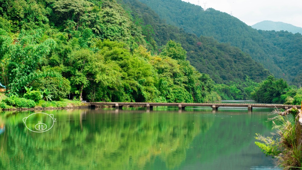 最新冷水迳，探索与应用之旅