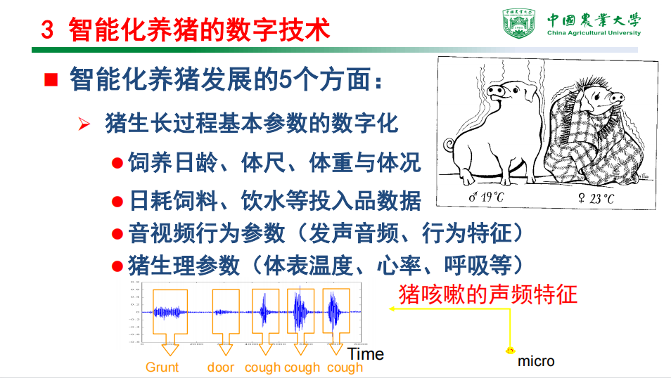 最新智能养猪技术重塑畜牧业未来革命